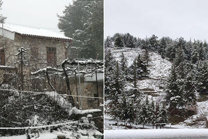 Χιόνια σε Ανώγεια και Οροπέδιο Λασιθίου