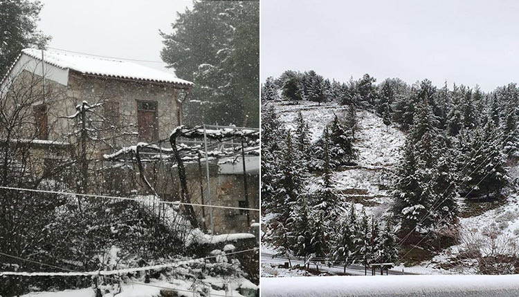 Χιόνια σε Ανώγεια και Οροπέδιο Λασιθίου