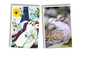 ριζίτικα τραγούδια