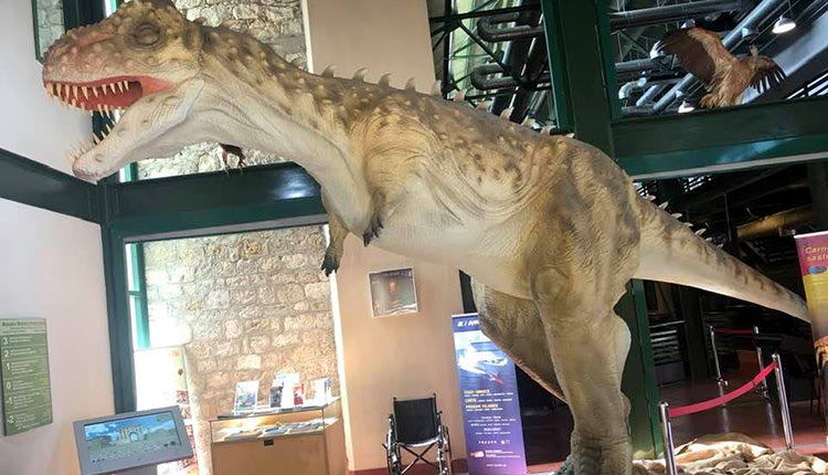δεινόσαυροι έκθεματα του Μουσείου Φυσικής Ιστορίας Κρήτης