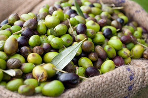 ελαιόκαρπος