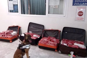 Χιλιάδες λαθραία τσιγάρα, αρμένικης προέλευσης εντόπισε η «Μπαλού», ο ειδικά εκπαιδευμένος σκύλος ανιχνευτής του τελωνείου Ηρακλείου