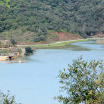 Δείτε όλα τα άρθρα από το χρήστη Κωνσταντίνος Μπριλάκις