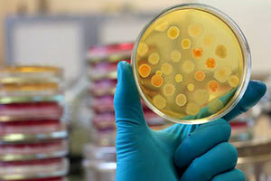 εξετάσεις ιός