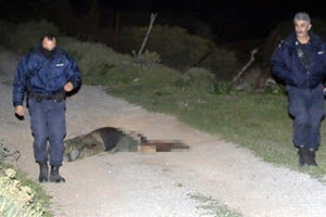 Η δολοφονία του Ανδρέα Κανάκη στο Μπιτζαριανό