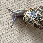 Δείτε όλα τα άρθρα από το χρήστη Γιώργος Μηλιαράς