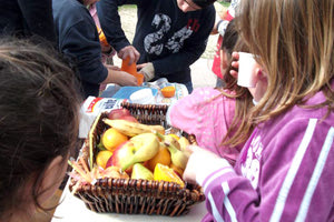 το πρόγραμμα διανομής φρούτων στα σχολεία.