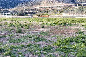 ΠΑΝΟΜ: Βοσκοτόπι το γήπεδο των Μαλίων