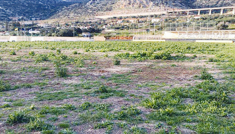 ΠΑΝΟΜ: Βοσκοτόπι το γήπεδο των Μαλίων