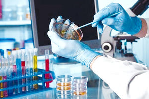 δείγματα εξετάσεις για κοροναϊό