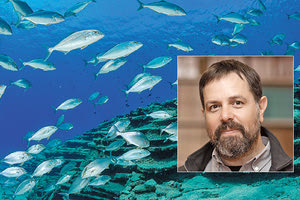 O Δρ. Θάνος Νταϊλιάνης , ερευνητής στο Ινστιτούτο Θαλάσσιας Βιολογίας, Βιοτεχνολογίας και Υδατοκαλλιεργειών (ΙΘΑΒΒΥΚ) του Ελληνικού Κέντρου Θαλασσίων Ερευνών (ΕΛΚΕΘΕ), μιλά στην “Π”