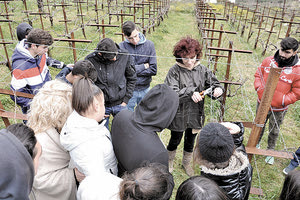 Από δράση στο Κ.Π.Ε. με τη συμμετοχή της κ. Μαρίας Σφακιανάκη