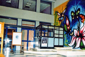 στο δημοτικό κτίριο της οδού Ανδρόγεω