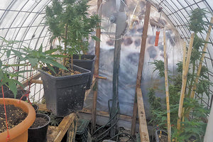 Ένα πλήρες εργαστήριο υδροπονικής κάνναβης βρέθηκε από την Αστυνομία σε περιοχή της Μεσσαράς.