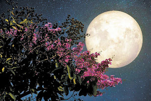 Μουσικό ταξίδι υπό το φως της “μπλε Σελήνης”