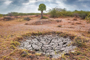 Πώς η πανδημία στέρεψε  το νερό της άρδευσης