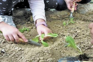 Παγκόσμια Ημέρα Περιβάλλοντος