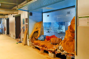 εργασίες για την αναμόρφωση του εκθεσιακού χώρου του Μουσείου Φυσικής Ιστορίας Κρήτης