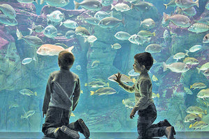 Ενυδρείο Κρήτης