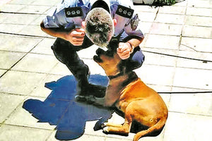 Τη Ζωή, μία αδέσποτη σκυλίτσα, έχει υιοθετήσει σύσσωμο το Αστυνομικό Τμήμα Πλατανιά