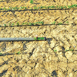 Δείτε όλα τα άρθρα από το χρήστη Γιώργος Αλεξάκης