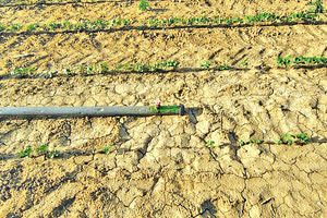 ερημοποίηση και ξηρασία