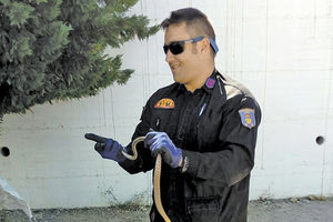 Ένα μικρό φίδι, μία δεντρογαλιά, εντοπίστηκε χθες το πρωί σε δέντρο στον αύλειο χώρο του δημοτικού σχολείου Σταυρωμένου, στο Ρέθυμνο.