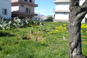 Ένα σπουδαίο ακίνητο στην περιοχή της Κηπούπολης διεκδικεί να περιέλθει στην ιδιοκτησία του ο Δήμος Ηρακλείου