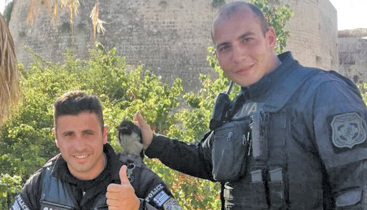 Αστυνομικοί της Ομάδας ΔΙΑΣ του Τμήματος Άμεσης Δράσης Ηρακλείου έσωσαν τραυματισμένο κοράκι `κατά τη διάρκεια περιπολίας