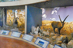 Στο Μουσείο Φυσικής Ιστορίας Κρήτης