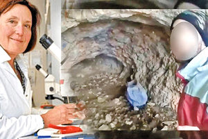 Η άτυχη βιολόγος βρέθηκε δολοφονημένη μέσα στο πρώην γερμανικό καταφύγιο