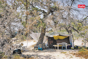 απαγόρευση κατασκήνωσης εντός του κεδρόδασους της Χρυσής