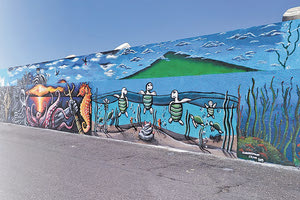 Ζωγραφική ή graffiti σε όψεις του λιμενοβραχίονα