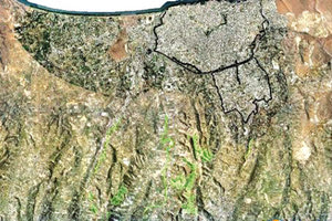 δασικός χάρτης της Κρήτης