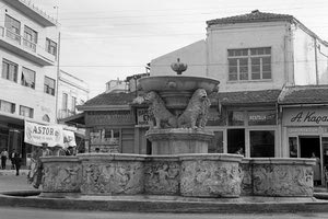 Η φωτογραφία της ημέρας: Λιοντάρια, δεκαετία του 1950