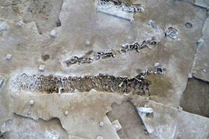 Ο Ρέντσο Πιάνο θα σχεδιάσει τα κτήρια που θα στεγάσουν τον ομαδικό τάφο των Δεσμωτών