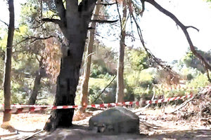 Έναν κρυμμένο θησαυρό φαίνεται πως αναζητούσαν οι τρεις άνδρες που εντοπίστηκαν νεκροί χθες τα ξημερώματα σε φρεάτιο – πηγάδι σε δασική περιοχή στη Βαρυμπόμπη.