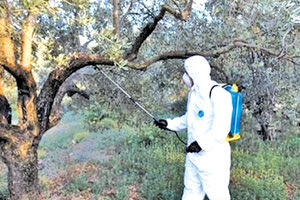 δακοκτονία