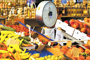 οποροκηπευτικά