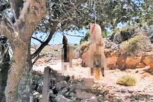 βασάνισαν μέχρι θανάτου τα δύο μικρά σκυλιά στην περιοχή των Κεραμειών