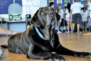 Ένα μπολερό για τον Ραβέλ μας