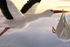 Τα μωρά τα φέρνει ο πελαργός