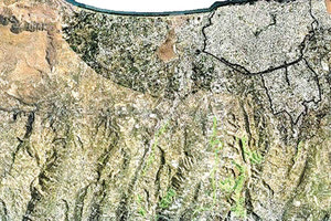 δασικών χαρτών