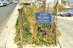 Απαντήσεις ζητούν οι τραγικοί γονείς  της 23χρονης φοιτήτριας