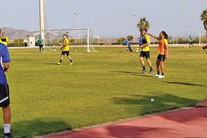 προετοιμασία του Εργοτέλη