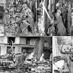 Δείτε όλα τα άρθρα από το χρήστη Νίκος Φλεμετάκης