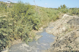 Σε εστία μόλυνσης έχει μετατραπεί το ποταμάκι στην περιοχή της Φοινικιάς.