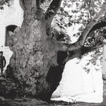 Δείτε όλα τα άρθρα από το χρήστη Γιώργος Αναστασάκης