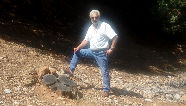 Ο κ. Βαβαδάκης είδε που έκοψαν την αιωνόβια ελιά