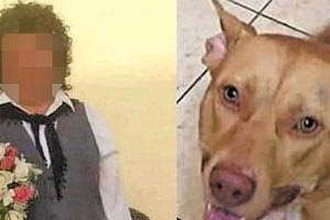 Ο βασανιστής του σκύλου του